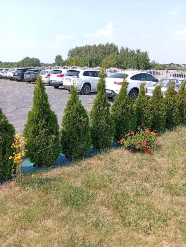 Samochody z naklejkami Parking Galax